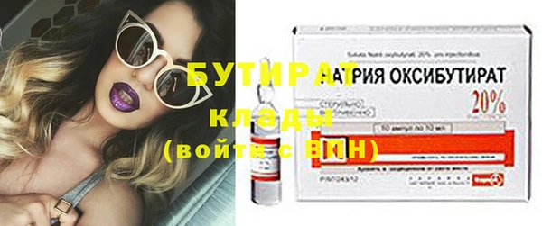 мдпв Краснослободск