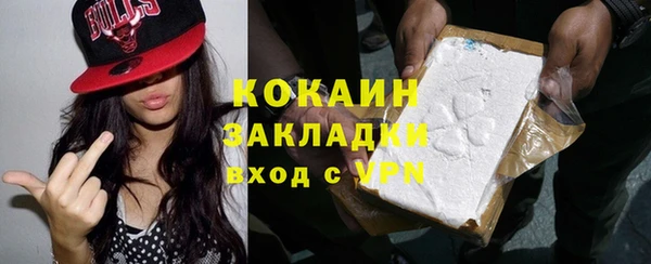 мдпв Краснослободск