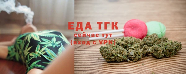 мдпв Краснослободск