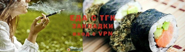 мдпв Краснослободск