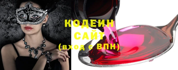 мдпв Краснослободск
