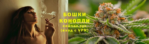 шишки Красноперекопск