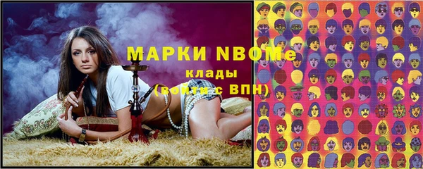 мдпв Краснослободск