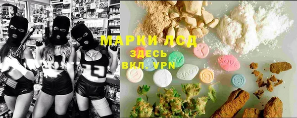 мдпв Краснослободск