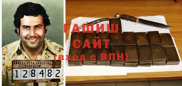 мдпв Краснослободск