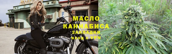 мдпв Краснослободск
