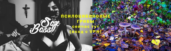 apvp Краснотурьинск
