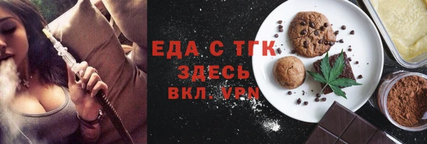 мдпв Краснослободск