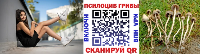 Псилоцибиновые грибы Cubensis  Купить где  Артёмовск 