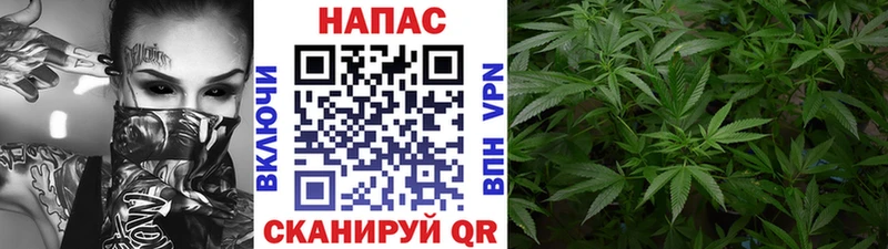 Купить закладки  Артёмовск  Бошки Шишки план 
